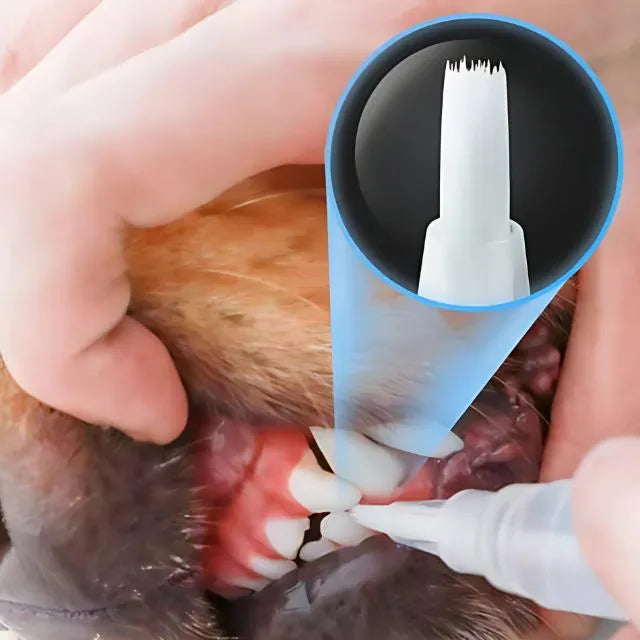 Dental Pen for Pets – Cleans yellowed teeth, prevents tartar, and eliminates bad breath.
